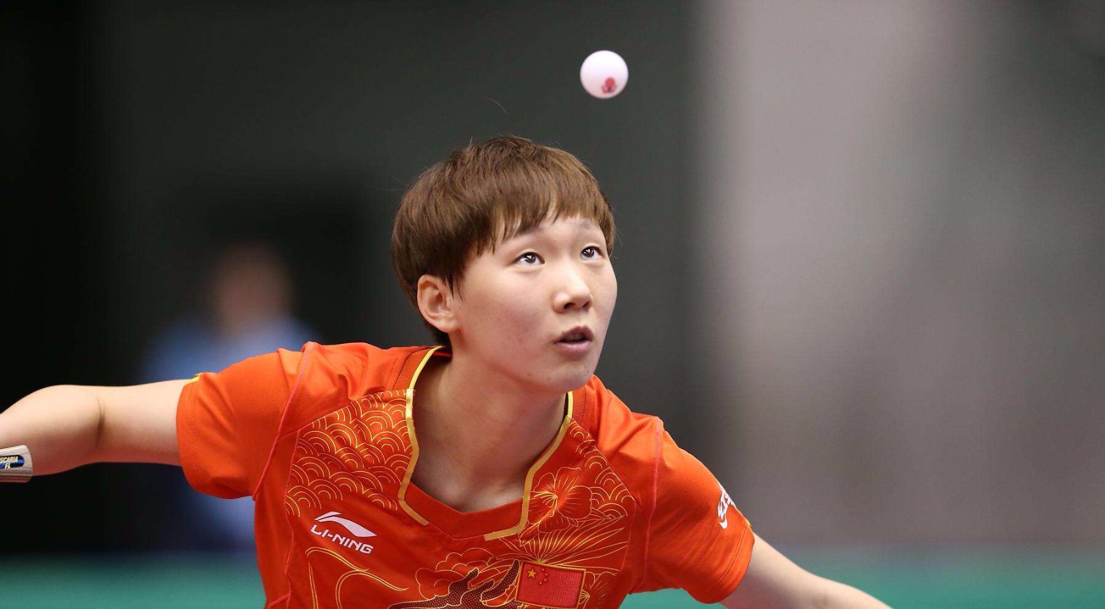 花球迷的焦 花球迷的焦